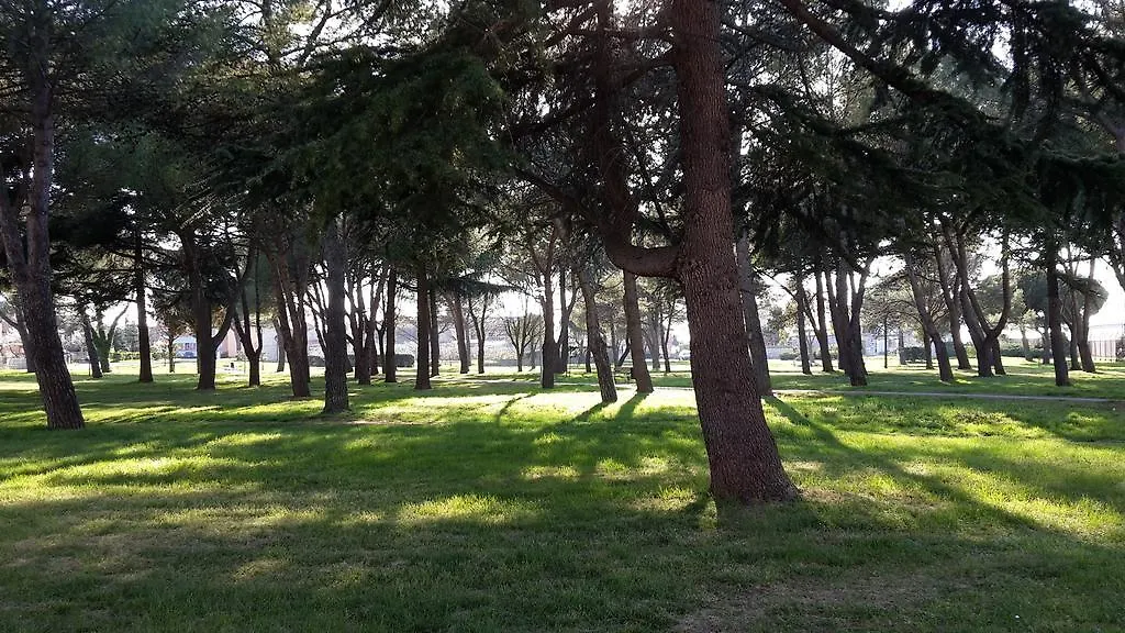 Susy Apartment Umag Croatia